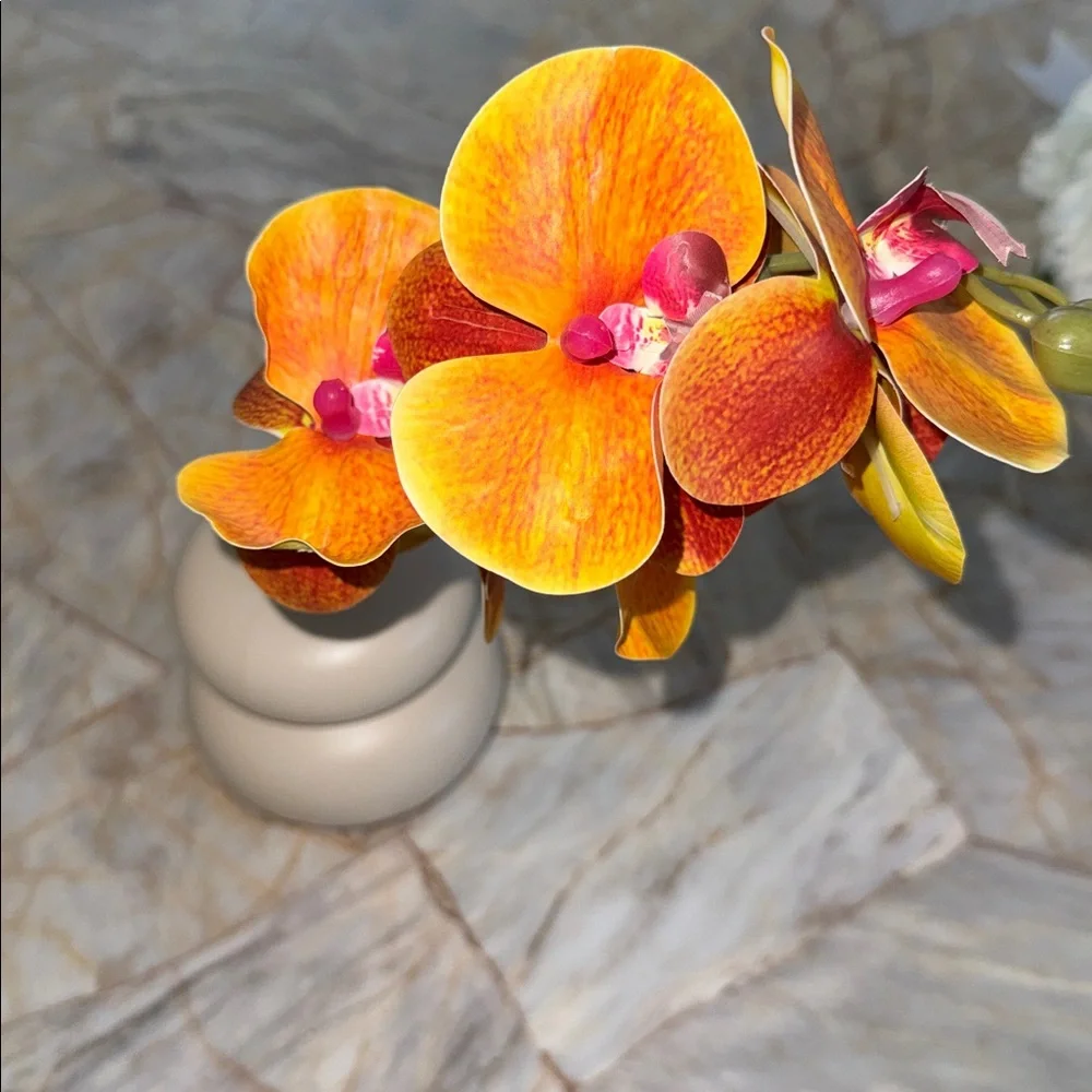 Vibrant Orange Orchid in Cream Vase‎